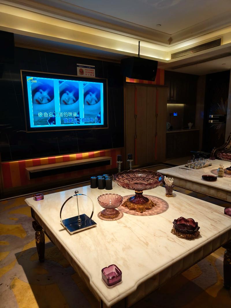 辽阳商务ktv，尽享夜场盛宴-辽阳县ktv预订